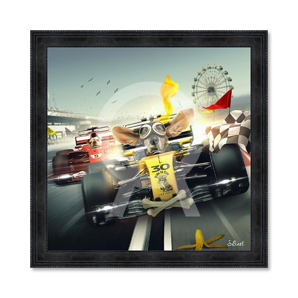 sylvain-binet-formule-1-image-encadree-tableau-annette-carrelage-narbonne